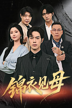 锦衣见母（60集）最新热剧免费看