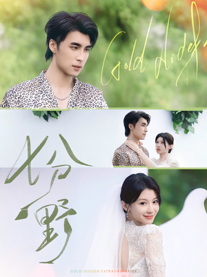 七分野（78集）每日分享短剧