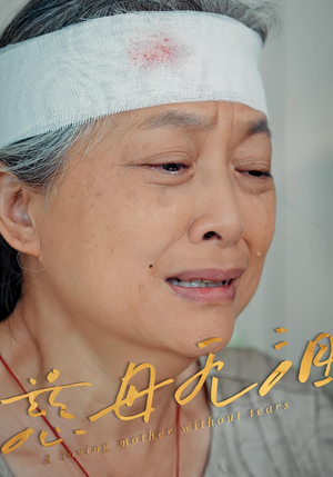 慈母无泪(30集) 慈母无泪(30集)男频短剧推荐