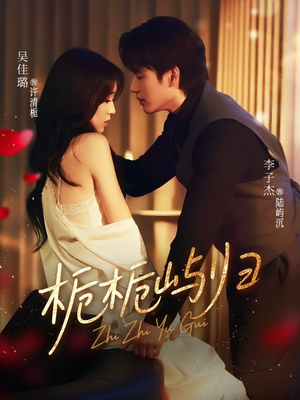 栀栀屿归（80集）全集免费观看