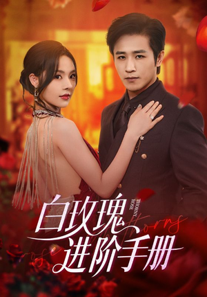 白玫瑰进阶手册（64集）大结局一气呵成