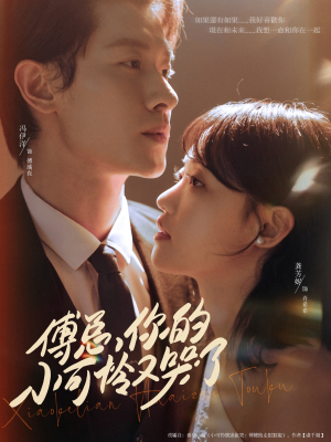 傅总你的小可怜又哭了（80集）爆火短剧追不停