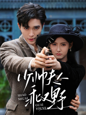 少帅夫人乖又野（84集）爆款短剧追不停