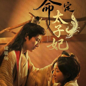 命定太子妃（63集）精彩短剧来了