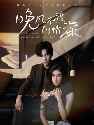 晚风不渡旧情深（70集）短剧上头又好看