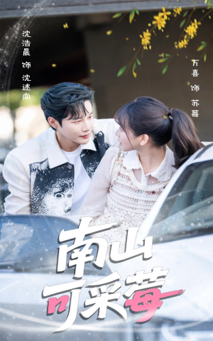 南山可采莓（66集）在线观看完整版