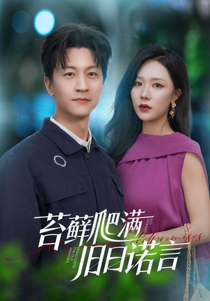 情途难负（83集）怎么看全集