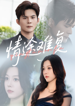 情途难复（50集）短剧免费分享