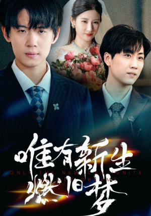唯有新生燃旧梦（55集）热门爆款短剧
