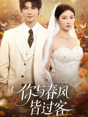 你与春风皆过客（66集）热播短剧分享