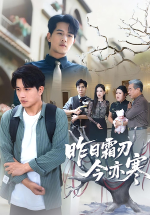 昨日霜刃今亦寒（80集）追风的女孩短剧