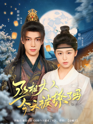 丞相大人今天被撩了吗(80集) 丞相大人今天被撩了吗(80集)爆火短剧追不停