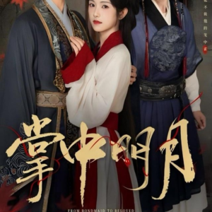 掌中明月(60集) 掌中明月(60集)免费看