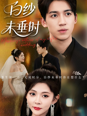 老婆婚礼我当证婚人（54集）热门短剧推广