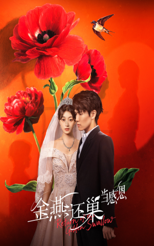 金燕还巢当感恩（55集）全网独播免费看