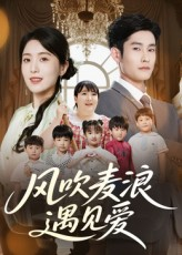 风吹麦浪遇见爱（70集）百度网盘资源