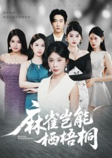 麻雀岂能栖梧桐（31集）无需充值尽情看