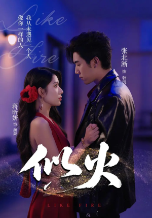 似火（80集）看到了大结局