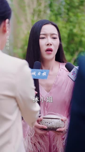 迟先生太太到处跑（73集）热播短剧追不停