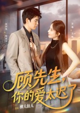 顾先生你的爱太迟了(60集) 顾先生你的爱太迟了(60集)短剧演员排行榜