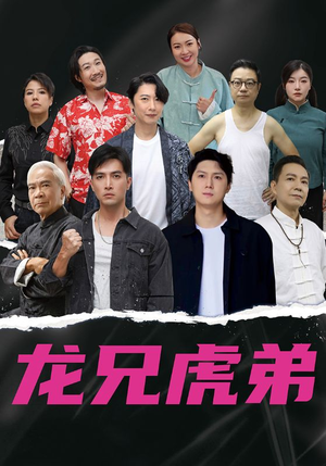 龙兄虎弟中文版（60集）在哪个平台能看