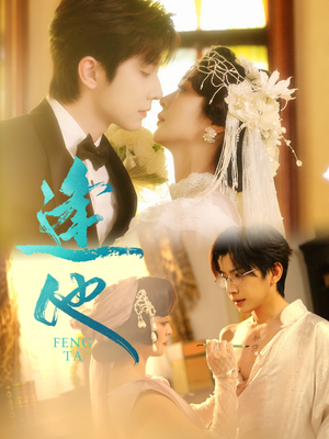 逢他（78集）流畅播放免费看