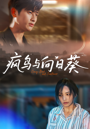 疯鸟与向日葵(40集) 疯鸟与向日葵(40集)热播短剧推荐