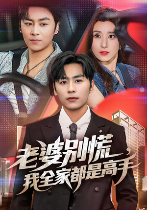 婆别慌我全家都是高手（58集）热门短剧大全