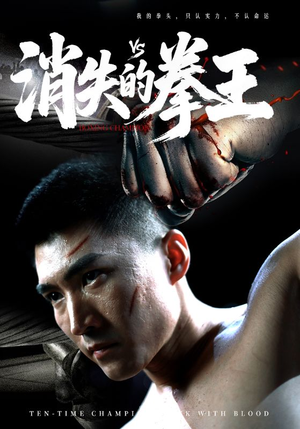 消失的拳王（72集）免费热门短剧