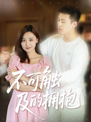 不可触及的拥抱 (40集) 百度网盘在线看