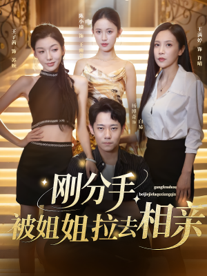 刚分手被姐姐拉去相亲(73集) 刚分手被姐姐拉去相亲(73集)热播短剧分享