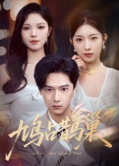 鸠占鹊巢&顶流夫人的致命陷阱（70集）在哪看是免费的