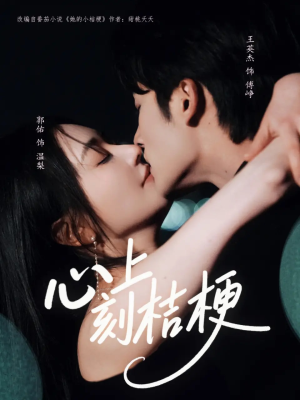 心上刻桔梗（90集）大结局完美收官