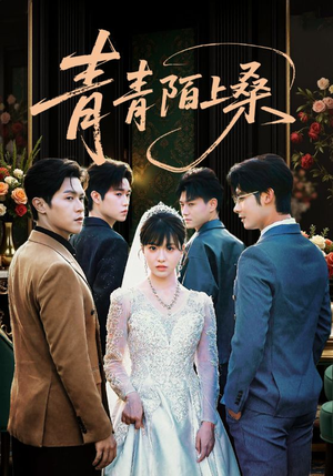 青青陌上桑（70集）短剧太好看