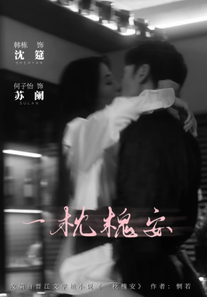 一枕槐安（80集）火爆热门短剧