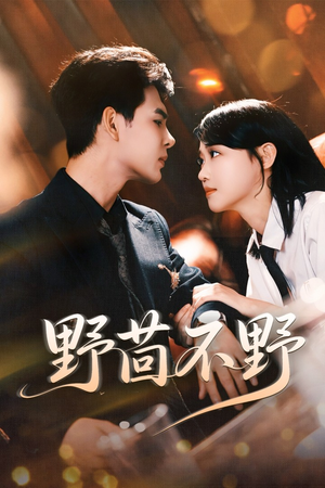 野茴不野（67集）哪个网站可以看