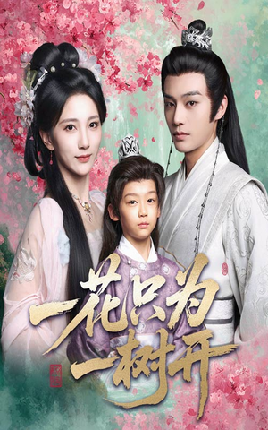 一花只为一树开（54集）古代短剧推荐