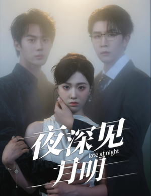 夜深见月明(50集) 夜深见月明(50集)抢先看热门短剧