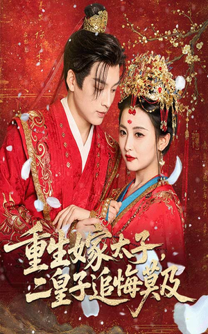 重生嫁太子二皇子追悔莫及（54集）热门短剧分享