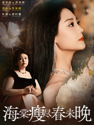 海棠瘦尽春未晚（62集）经典回顾免费看
