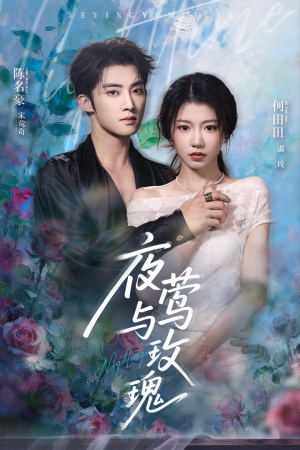 夜莺与玫瑰(66集) 夜莺与玫瑰(66集)第三季