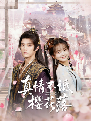 真情不诋樱花落（58集）短剧抢先看全集