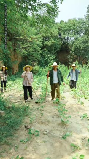 老太重生带全家吃饱穿暖（74集）每日短剧分享