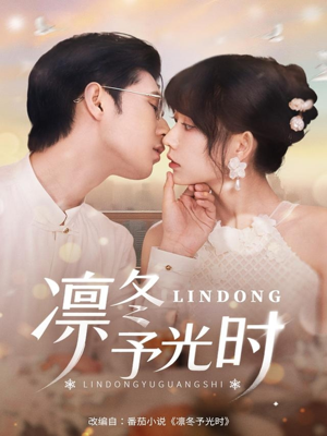 凛冬予光时（60集）好看到停不下来