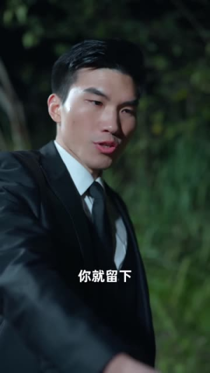 将军请上车 (91集) 将军请上车 (91集)热门短剧排行榜