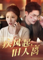 疾风起旧人离（32集）短剧全集更精彩