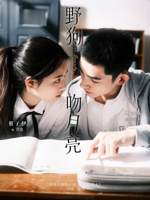 野狗吻月亮（68集）超火热门短剧