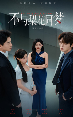 不与梨花同梦（50集）免费看全集