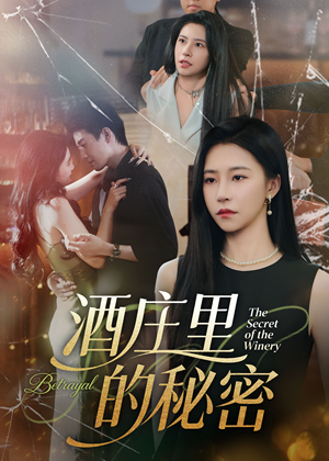 酒庄里的秘密（54集）常回家看看短剧