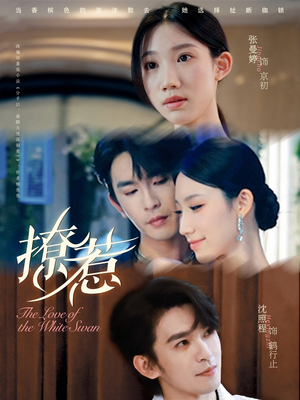 撩惹(80集) 撩惹(80集)口碑爆棚免费看